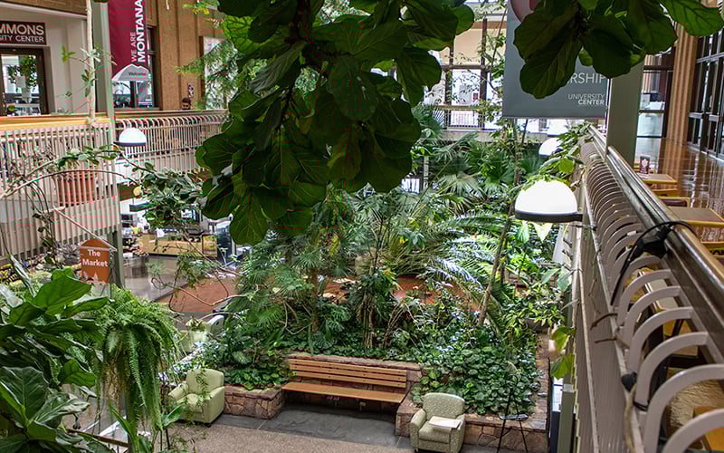 Best Study Spots At Um